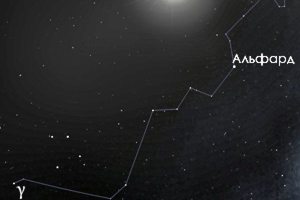 Kraken 20at