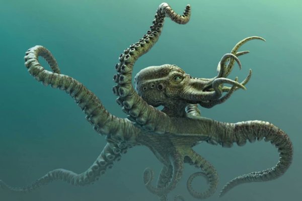 2kr kraken